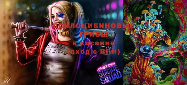 мет Билибино
