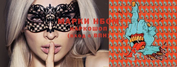 гашик Осташков