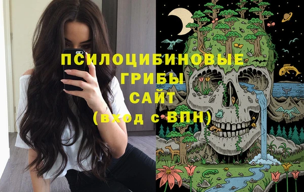 соль курить ск Пестово