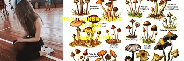 синтетический гашиш Пересвет