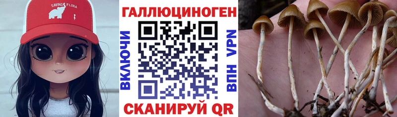 Галлюциногенные грибы MAGIC MUSHROOMS  что такое наркотик  Владивосток 