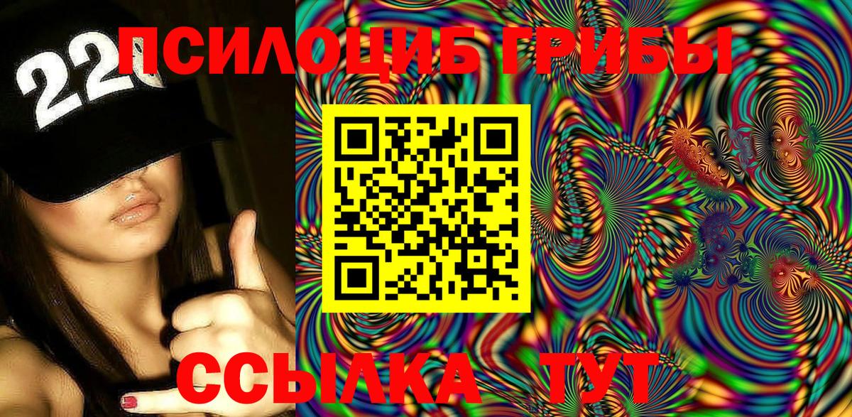Псилоцибиновые грибы мицелий  Вход с VPN  магазин продажи наркотиков  Владивосток  Псилоцибиновые грибы Psilocybe 