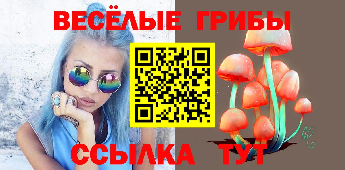 Галлюциногенные грибы Psilocybe  Владивосток 